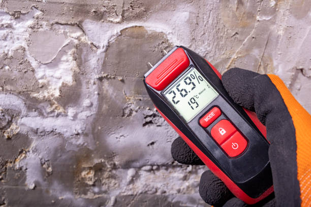 Homewood, SC Mold Removal Company