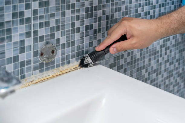 Best Professional Mold Removal  in Homewood, SC